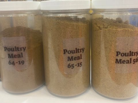 Thức ăn chăn nuôi chất lượng cao